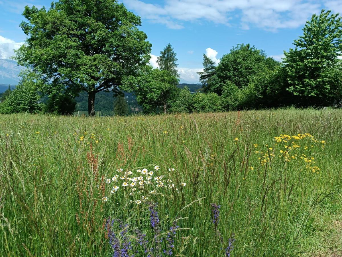 Baita Dei Fovi Baselga di Pinè Exteriér fotografie
